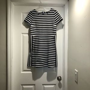 Express Navy and white stripe dress